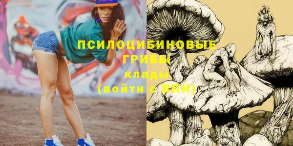 прущие крисы Новодвинск