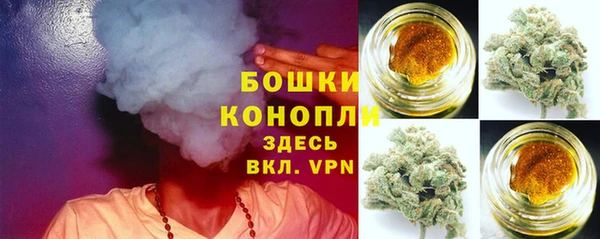ПСИЛОЦИБИНОВЫЕ ГРИБЫ Новозыбков