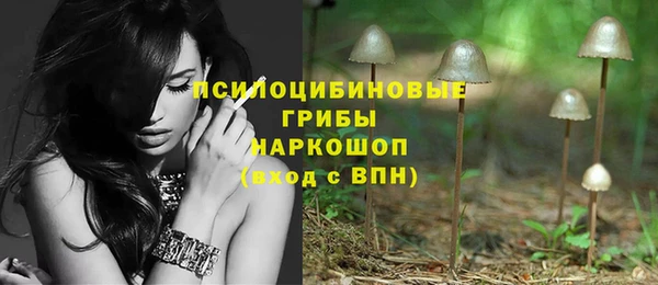 ПСИЛОЦИБИНОВЫЕ ГРИБЫ Новозыбков