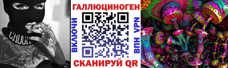 Псилоцибиновые грибы Cubensis  Купить закладки  Каргополь 