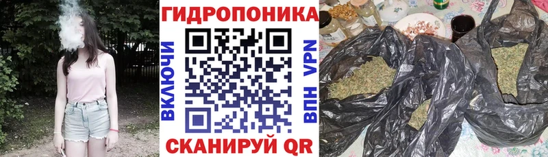 Купить закладки  Каргополь  Канабис LSD WEED 